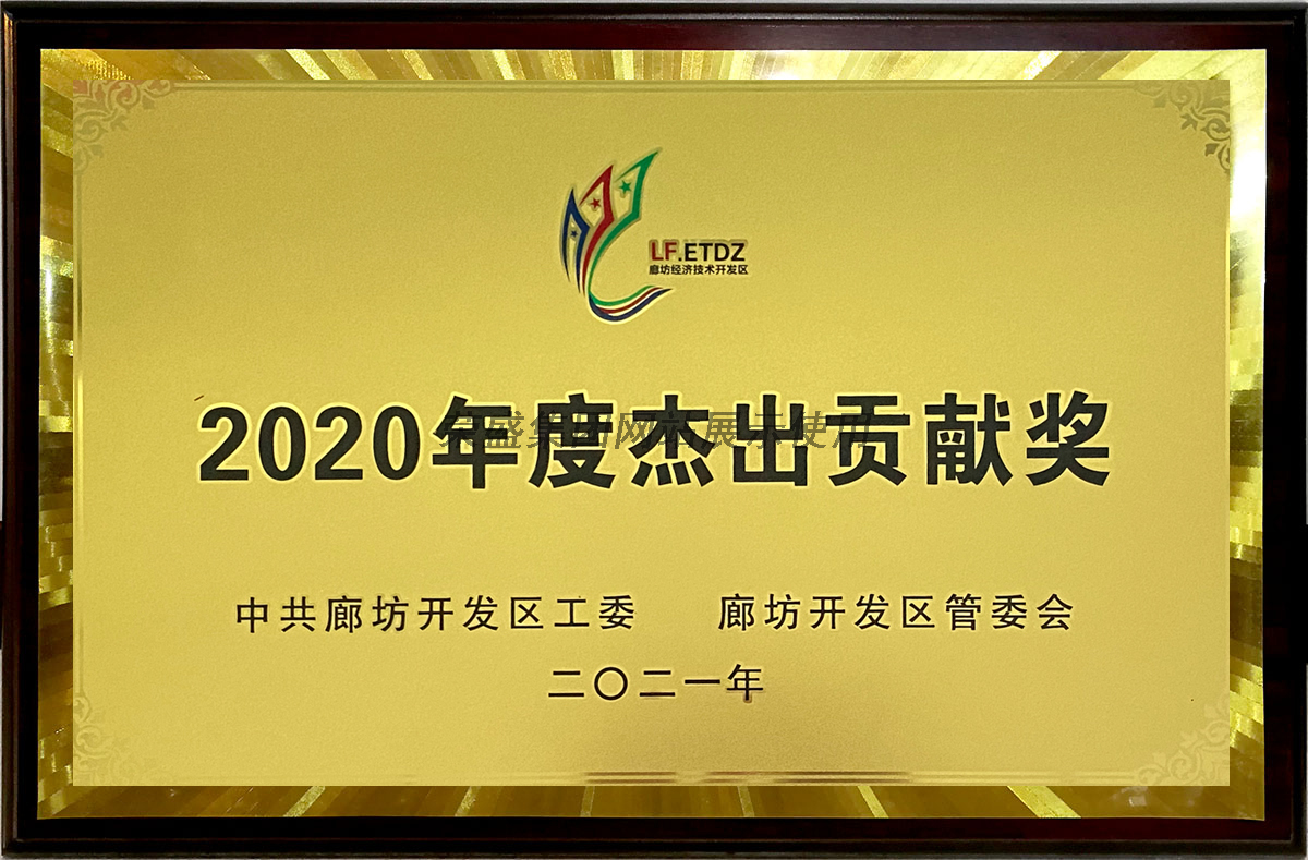 2021年度（2020年度杰出贡献奖）